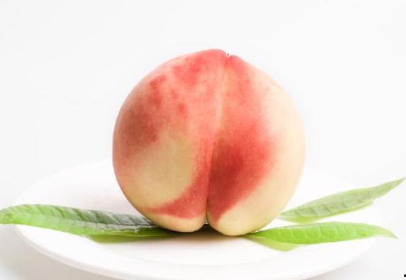 成人桃子视频 测试